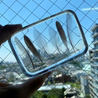 小さな生き物たちの美しい世界を手のひらに─公園緑地管理者に向けた「プラスチック封入標本づくり」研修会を開催しました