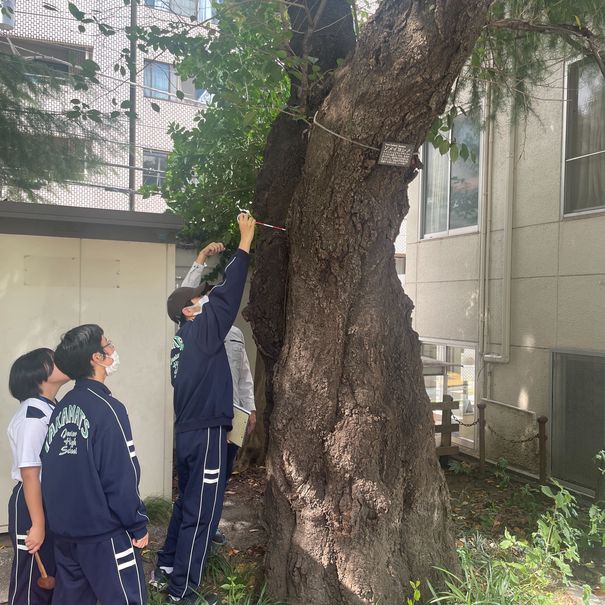港区立高松中学校の職場体験に協力しました